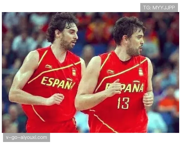 恶意犯规判定标准解析：NBA与FIBA规则对比